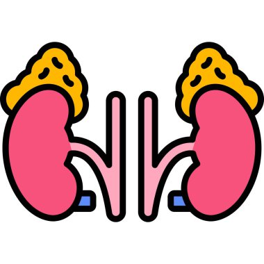 akciğer organı renk vektör illüstrasyonu