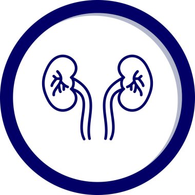 Böbrek ikonu. vektör illüstrasyonu