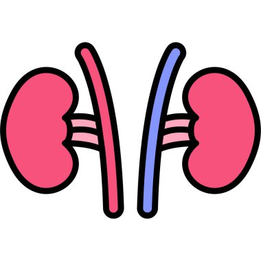 Böbrek. Web simgesi basit illüstrasyon