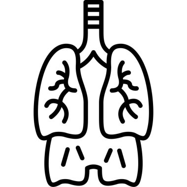 İnsan ciğerleri ikonu. Beyaz arkaplanda izole edilmiş web tasarımı için ana akciğer vektör simgesi
