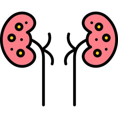 İnsan böbrek kutsal kişilerin resmi, vektör çizim