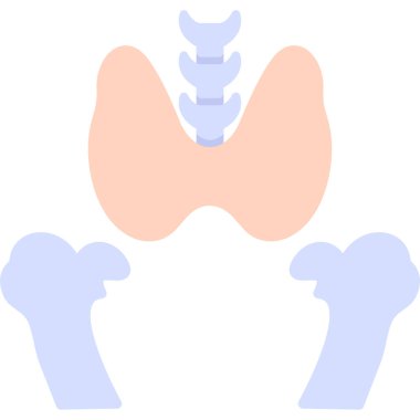 İnsan anatomisi, anatomi, vektör, illüstrasyon