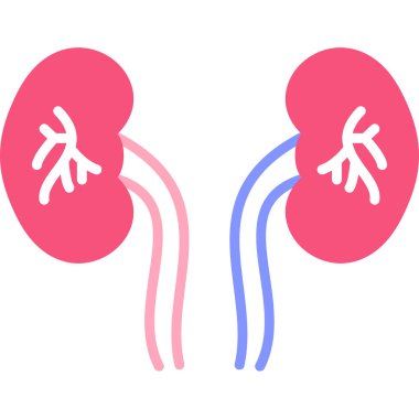 Böbrek taşıyıcı ikonu. Beyaz renk arkaplanda izole edilmiş biçim vektör sembolü, düz biçim, vektör.