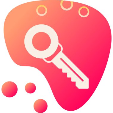 Bir anahtarın vektör illüstrasyonu