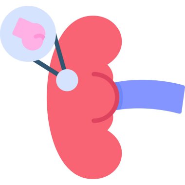 İnsan böbreği simgesi, basit tasarım.