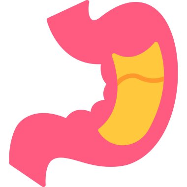 mide ikonu vektör illüstrasyonu