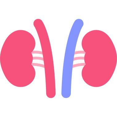 Böbrek Ağı vektör çizimi