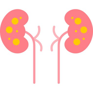 Böbrek taşıyıcı renk ikonu. Böbrek. Böbrek ikonu. böbrek.