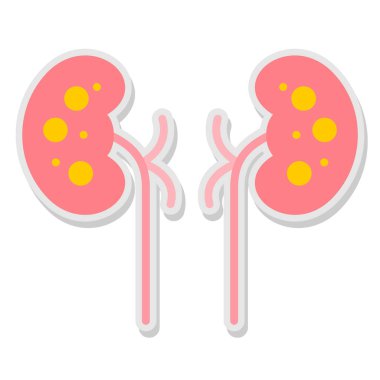 Böbrek taşıyıcı ikonu. insan arkaplanında izole edilmiş çizgi film vektör simgesi