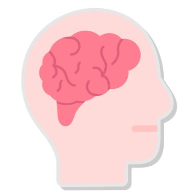 Beyin anatomisi vektör çizim