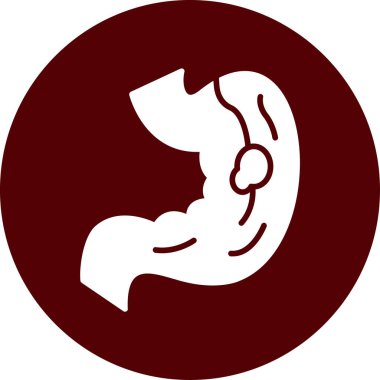 İnsan iç organı, mide anatomisi, vektör ikonu. düz dizayn