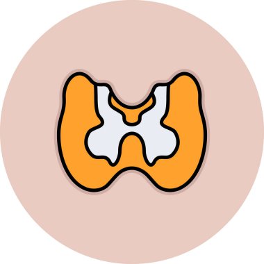 insan anatomisi vektör çizim