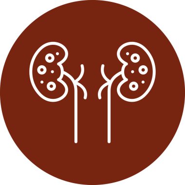 İnsan böbreklerinin basit ana hatları