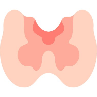 İnsan vücudu anatomisi, vektör illüstrasyonu