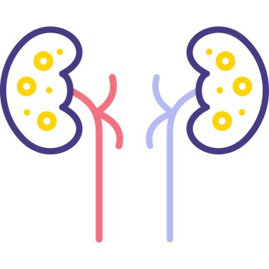 Böbreklerin vektör çizimi