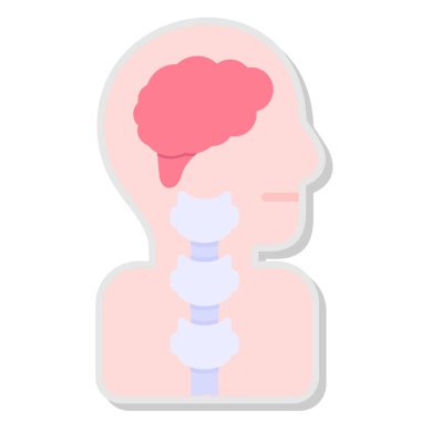 İnsan beyni anatomisi organ vektör çizimi tasarımı