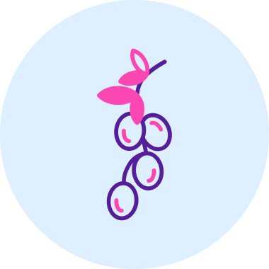 Üzümlerin vektör çizimi