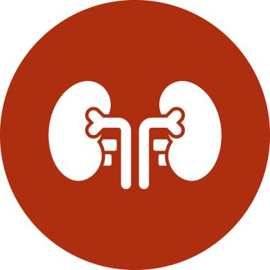 Bir böbrek simgesinin vektör çizimi