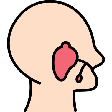 insan kulağının vektör çizim