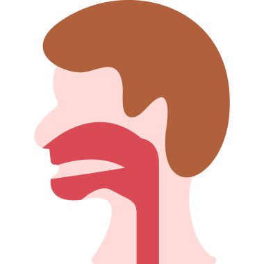 Adam baş anatomi ikonu. Çizgi film vektör çizimi. İnsan vücudu anatomisi.