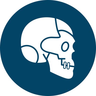 Bir kafatasının vektör çizimi