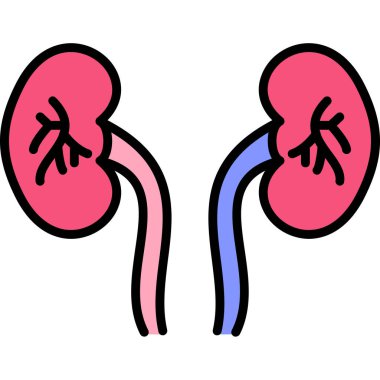 böbreklerin renk ikonu vektör illüstrasyonu