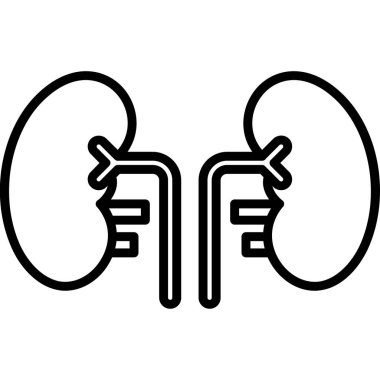 Böbrek ikonu. Beyaz arkaplanda izole edilmiş web tasarımı için böbrek simgesi çizimi