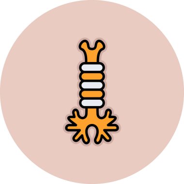 İnsan vücut simgesinin bir gösterimi. vektör.