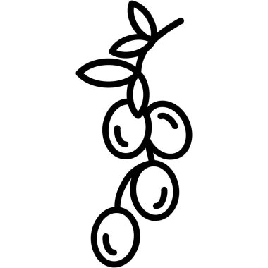 meyve ikonu vektör illüstrasyonu