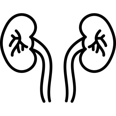 Böbrek ikonu. Web için böbrek vektör simgelerinin ana hatları