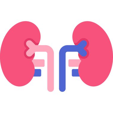 Böbrek simge vektör çizim