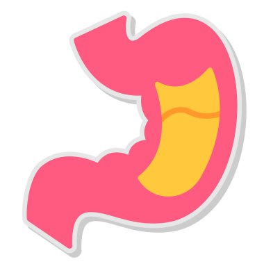 mide ikonu vektör illüstrasyonu