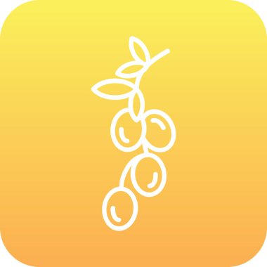 vektör meyve simgesi illüstrasyonu