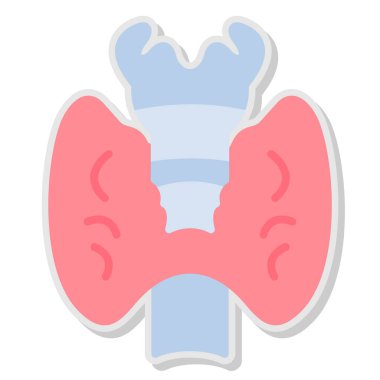 İnsan vücudu anatomisi, illüstrasyon veya vektör, beyaz üzerine izole edilmiş.