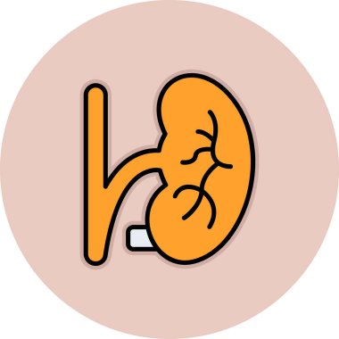 İnsan böbrek organı simgesi renk vektör çizimi