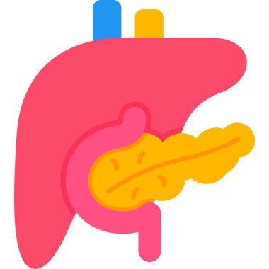 Mide organı ikonu. taslak mide organı vektör rengi düz izole