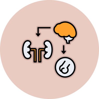 Böbrek ikonlu beyin, çizgi biçimi