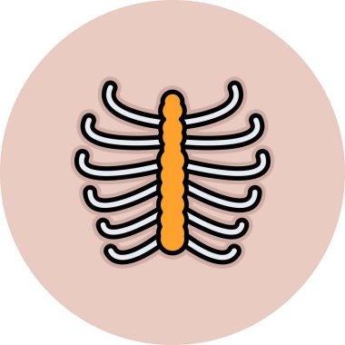 İnsan vücudunun vektör illüstrasyonu