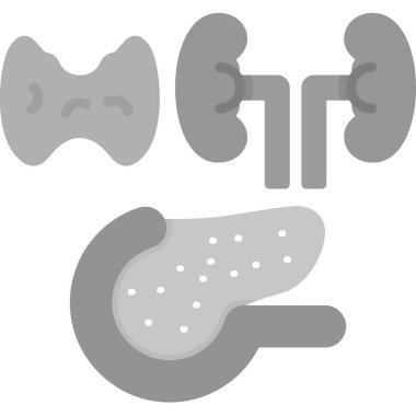 Karaciğer. Resim, beyaz arkaplanda vektör