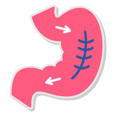 Böbrek ikonu. Beyaz arka planda izole edilmiş organ ve böbrek vektörü