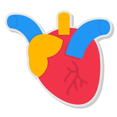 kalp anatomisi ikon vektörü