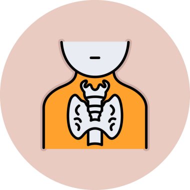 Beyaz arkaplanda insan anatomisi, illüstrasyon, vektör.