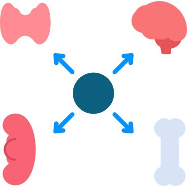 İnsan vücudu, mide anatomisi.