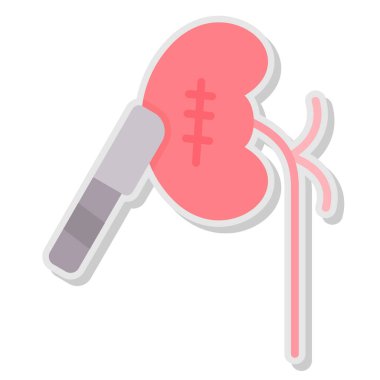 Böbrek ikonu. Web için böbrek vektör simgelerinin ana hatları