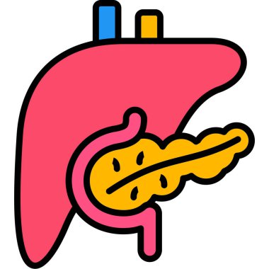 Karın organı. renk illüstrasyonu