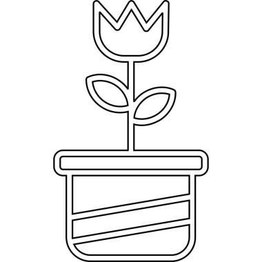 bitki ve bahçe tasarımı