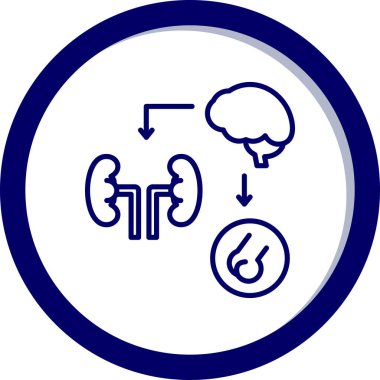 Beyin ve böbrek organ çizgisi simgesi.