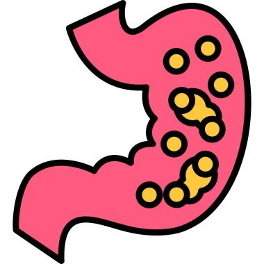 Karın organı. Basit resimleme