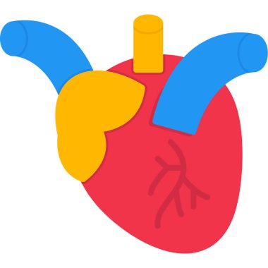 kalp anatomisi simgesi, vektör illüstrasyonu