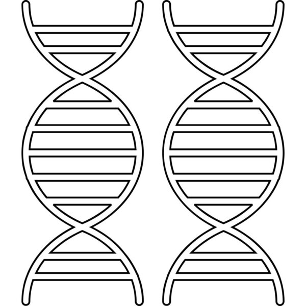 dna icon. outline illustration of dna vector icon for web
